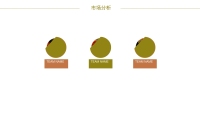 第17张幻灯片