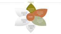 第7张幻灯片