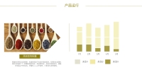 第9张幻灯片