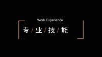 第11张幻灯片
