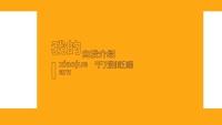 第5张幻灯片