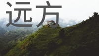 第49张幻灯片