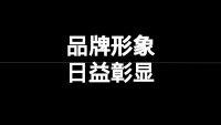 第30张幻灯片