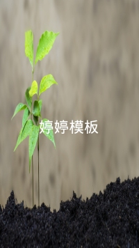 第26张幻灯片