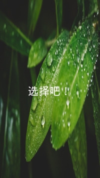 第27张幻灯片