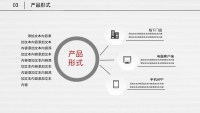 第21张幻灯片