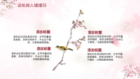 第13张幻灯片