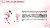 第16张幻灯片