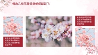 第20张幻灯片
