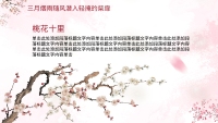 第7张幻灯片