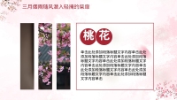 第8张幻灯片