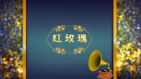 第23张幻灯片