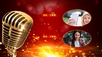 第12张幻灯片