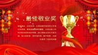 第12张幻灯片