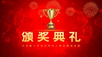 第11张幻灯片