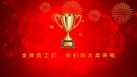 第12张幻灯片