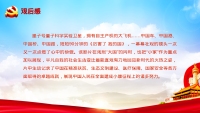 第13张幻灯片