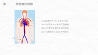 第28张幻灯片