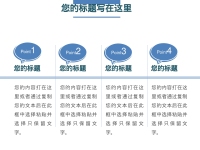 第238张幻灯片