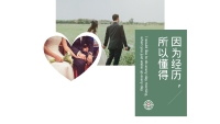 第13张幻灯片