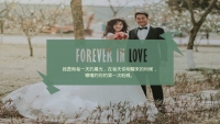 第8张幻灯片
