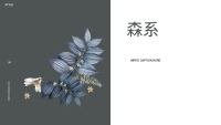 第18张幻灯片