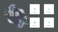 第2张幻灯片