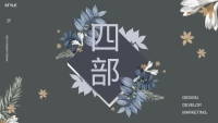 第20张幻灯片