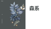 第5张幻灯片
