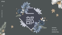 第9张幻灯片