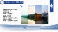 第11张幻灯片