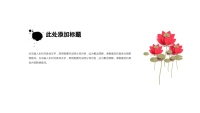 第24张幻灯片