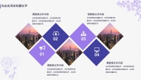 第20张幻灯片