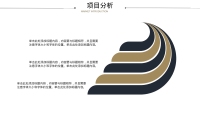 第11张幻灯片