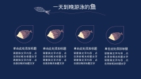 第12张幻灯片