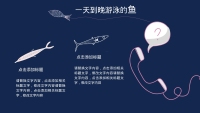 第23张幻灯片