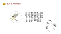 第19张幻灯片