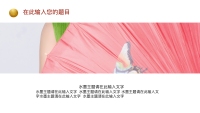 第20张幻灯片