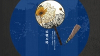 第11张幻灯片