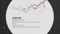 第12张幻灯片