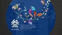 第15张幻灯片