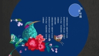 第16张幻灯片