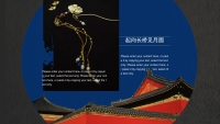 第21张幻灯片