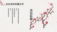 第12张幻灯片
