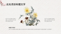 第20张幻灯片