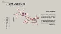 第13张幻灯片