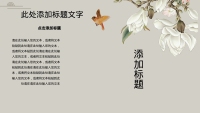 第5张幻灯片