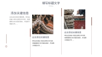 第17张幻灯片