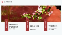 第14张幻灯片