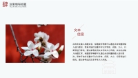 第16张幻灯片